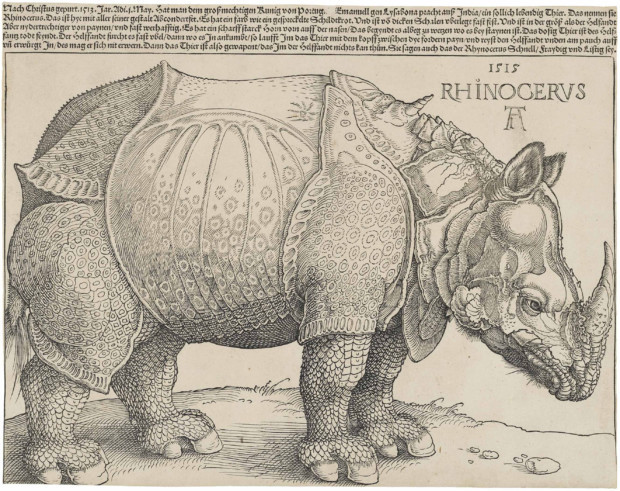 Dürer Animals: Albrecht Dürer, Rhinoceros, 1515, National Gallery of Art, Washington, DC, USA.