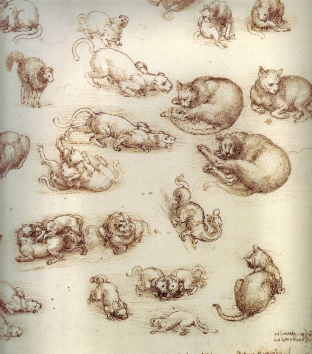 Leonardo da Vinci, Cats, lions, and a dragon, 1513-1518, Royal Collection Trust/© Her Majesty Queen Elizabeth II