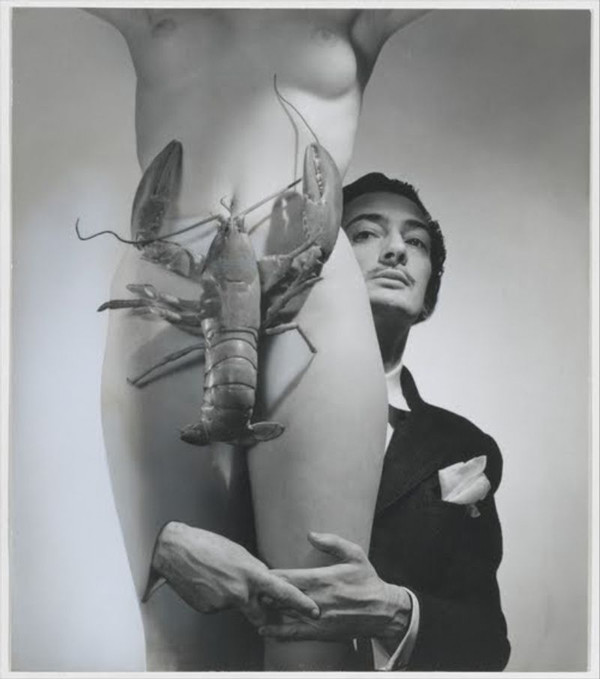 Dali and the Lobster Crotch