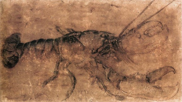 Albrecht Dürer, A Lobster, 1495, Staatliche Museen, Berlin, Germany. 