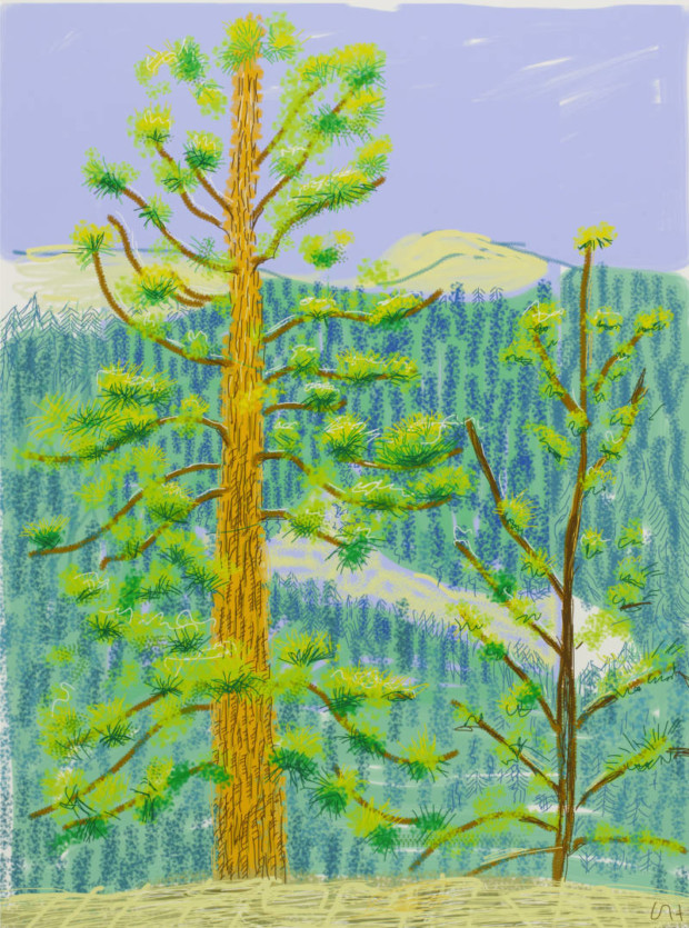 edward hockney ipad “Untitled No. 8” from The Yosemite Suite, 2010, by David Hockney. (Photo: Courtesy of David Hockney)