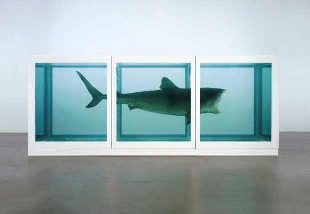 Damien Hirst Shark Damien Hirst, The Physical Impossibility of Death in the Mind of Someone Living, 1991.