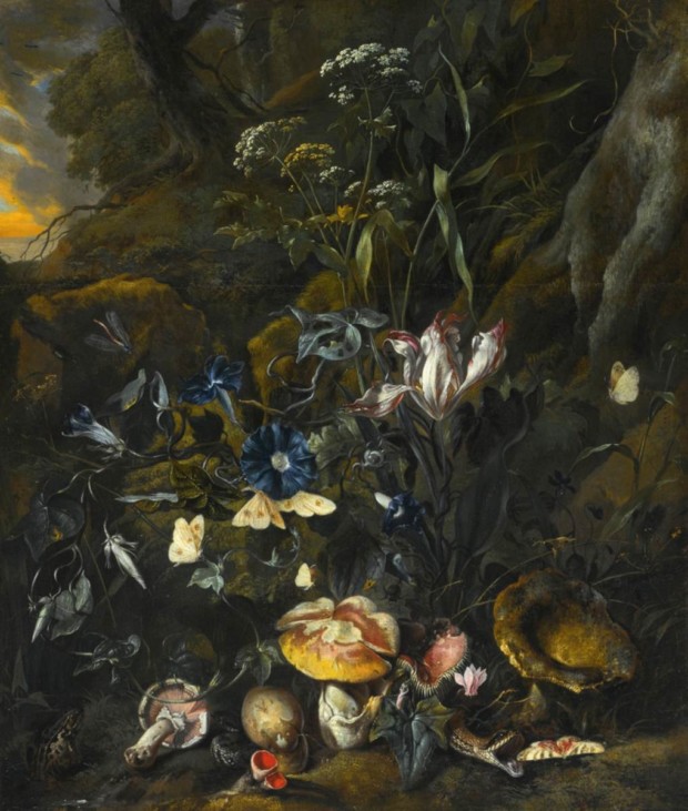 mushroom art Otto Marseus van Schrieck, A Forest Floor Still Life, c. 1657, private collection, mushroom art
