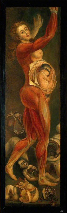 Jacques-Fabien Gautier D’Agoty, A dissected pregnant female, 1764-65, Wellcome Library, London, UK.
