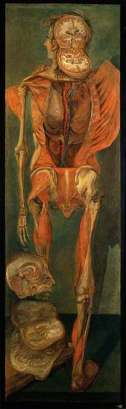 Jacques-Fabien Gautier D’Agoty, A dissected man with a separate section of viscera, Wellcome Library, London, UK. medicine in art