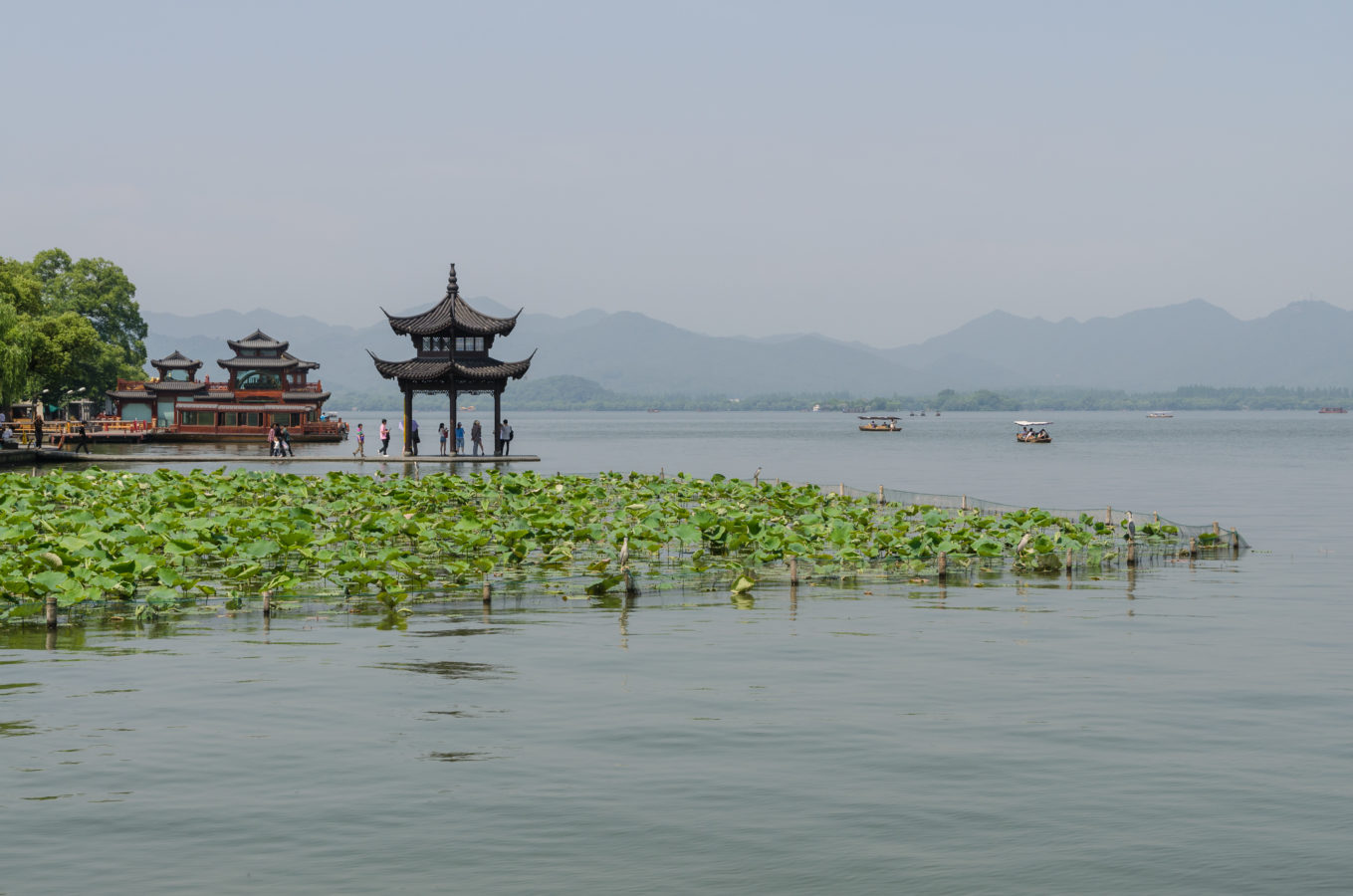 West Lake Pavilion and Water Lilies, Hangzhou