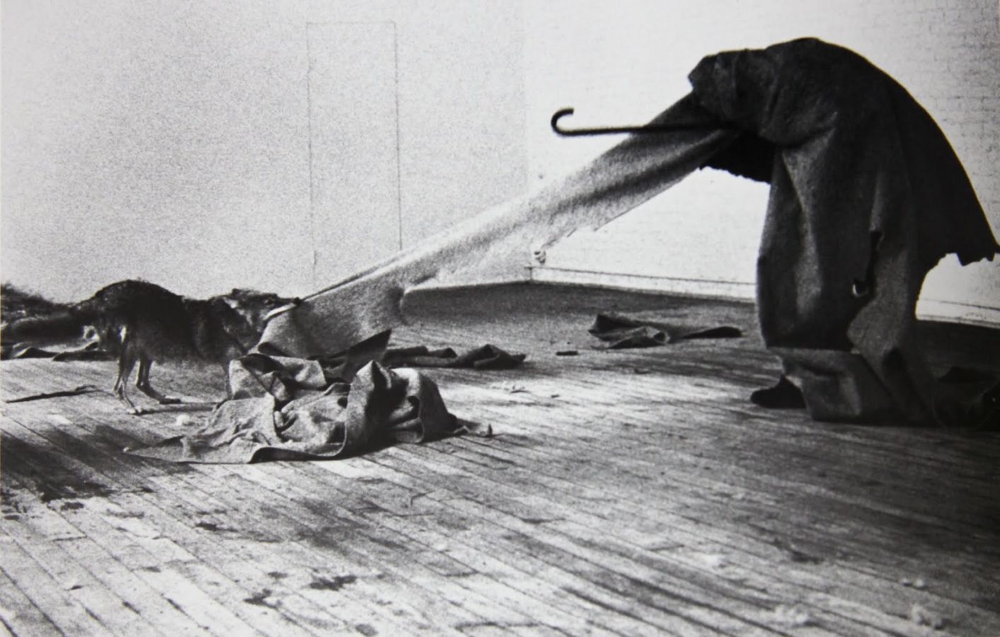 Joseph Beuys, I like America and America Likes Me, 1974, photo by Caroline Tisdall, most important works by joseph beuys