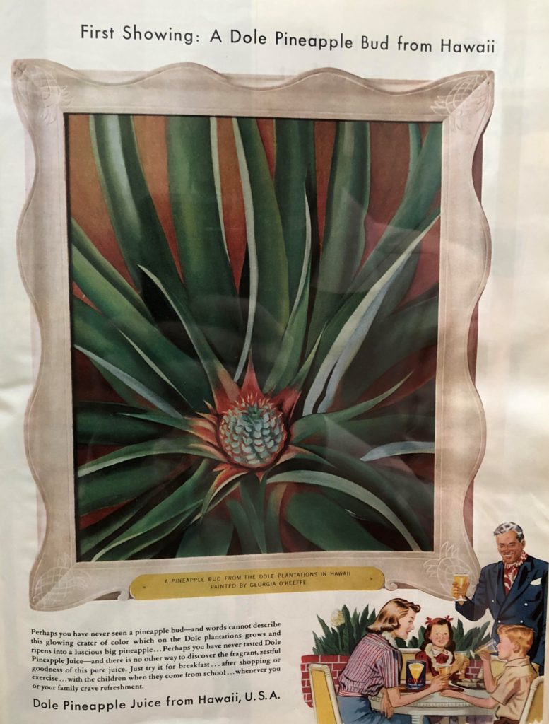 Georgia O'Keeffe Pineapple Bud painting in a Dole Pineapple Juice advertisement, 1939. Georgia O'Keeffe: Visions of Hawaii. Photograph by Howard Schwartz.