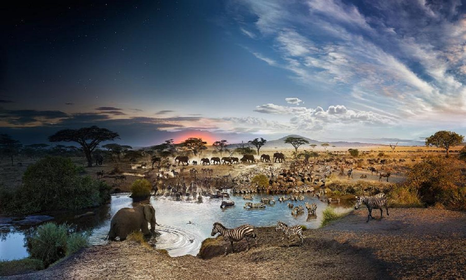 Stephen Wilkes' photos ,Day to night, 2015,Serengeti National Park, Tanzania, Stephen Wilkes' Photos
