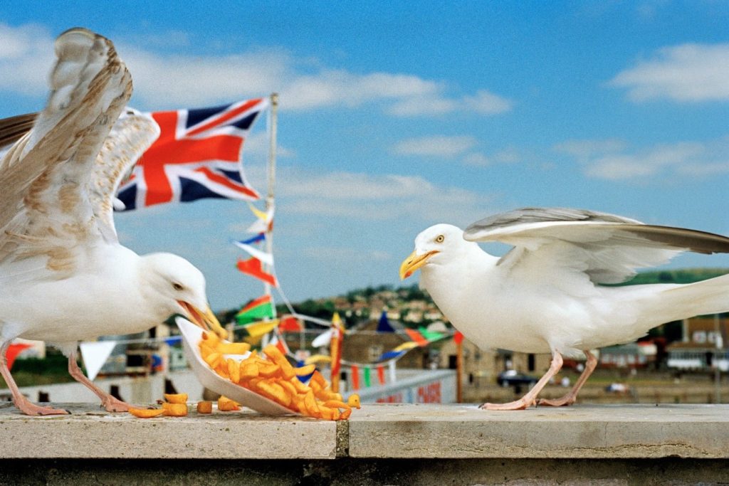 West Bay, Dorset, 1996 © Martin Parr / Magnum Photos, source: rmg.co.uk