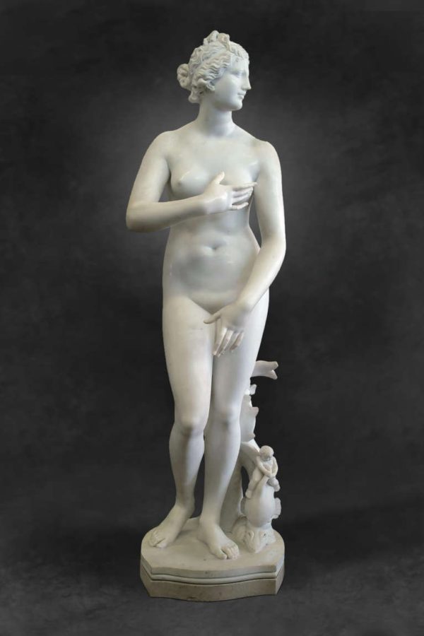 Medici Venus Laocoon: The Work of a Lifetime