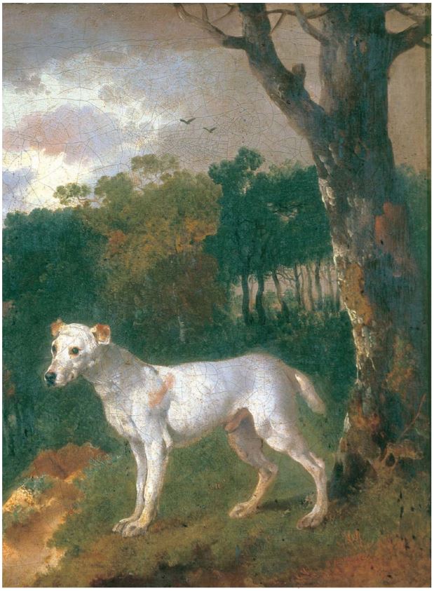 Thomas Gainsborough, Bumper – A Bull-Terrier, 1745, private collection - dogs' portraits