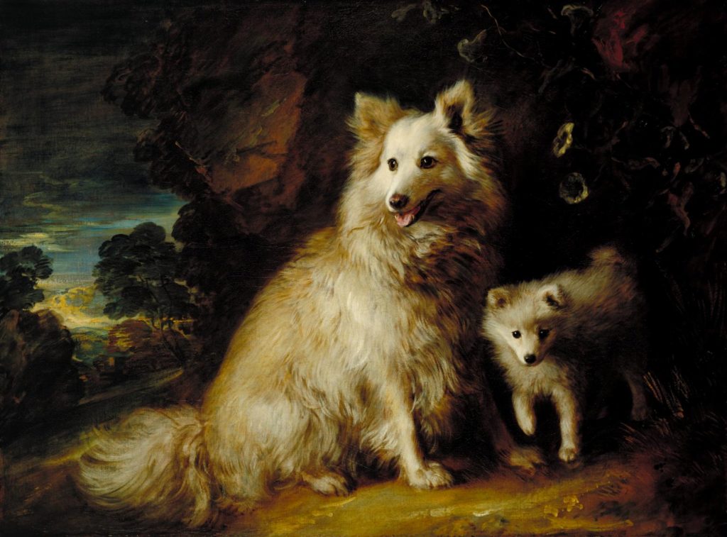 Pomeranian Bitch and Puppy c.1777 by Thomas Gainsborough 1727-1788