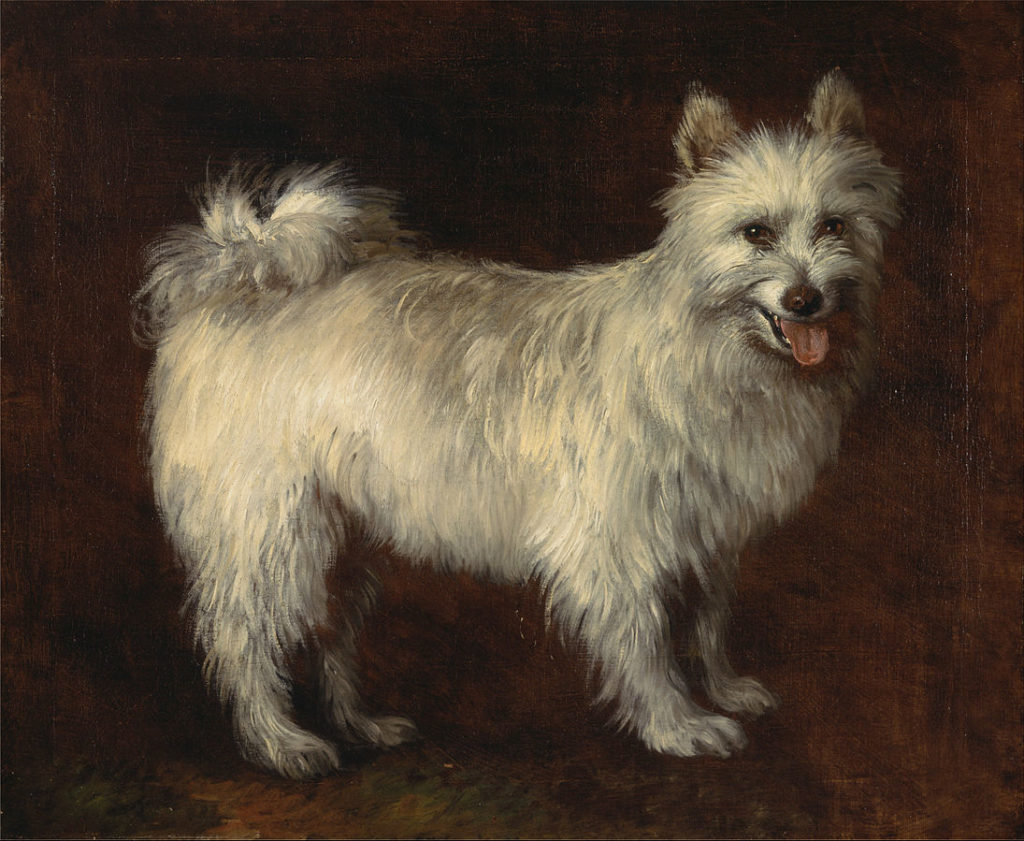 Thomas Gainsborough, The Spitz Dog, ca 1765, Yale University Art Gallery - spitz, pomeranian