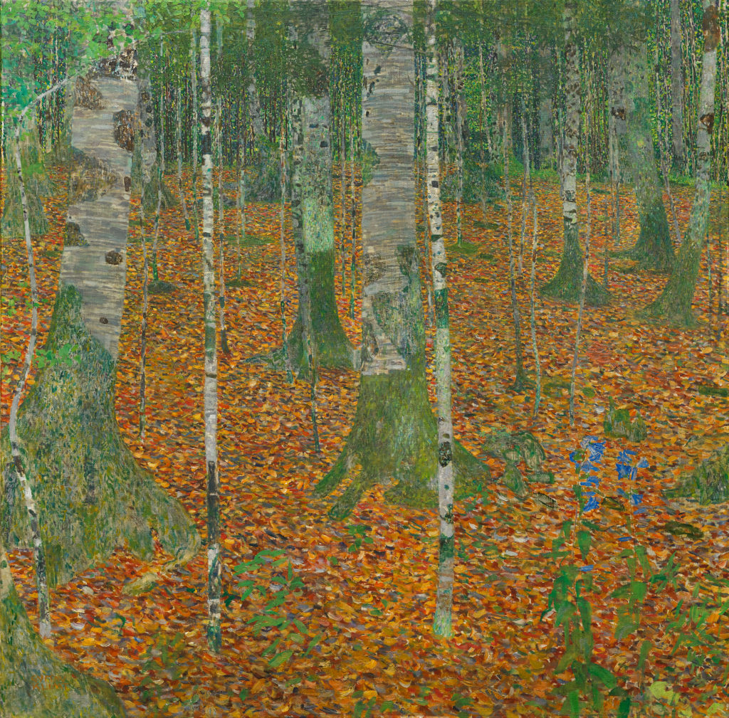gustav klimt trees paintings Gustav Klimt, Birch Forest, 1903, Oil on canvas, 42 1/4 x 42 1/4 inches, Paul G. Allen Family Collection