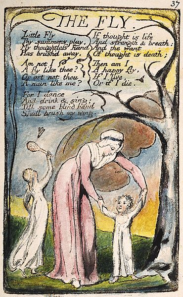William Blake, The Fly from Songs of Innocence and of Experience, London, 1794, 54 plates, Yale Center for British Art, The William Blake Archive, New Haven, CT, USA.