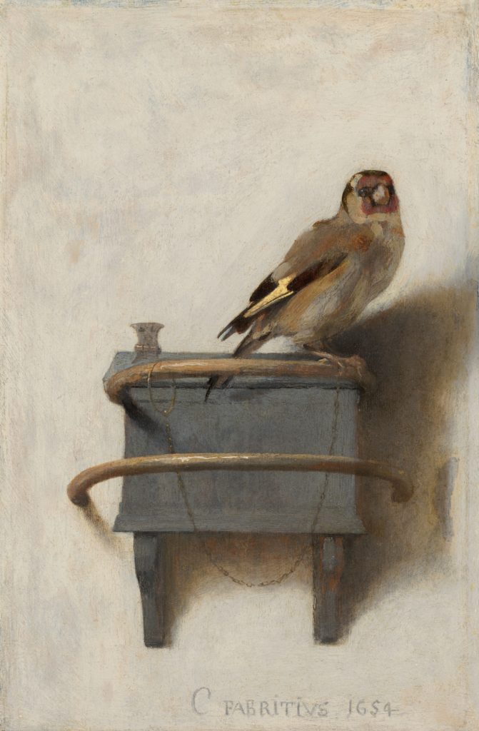 Twelve days of Christmas carel fabritius the goldfinch