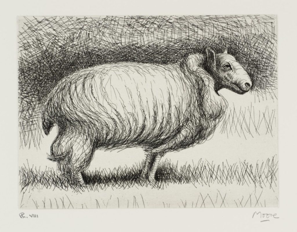 Henry Moore's Sheep