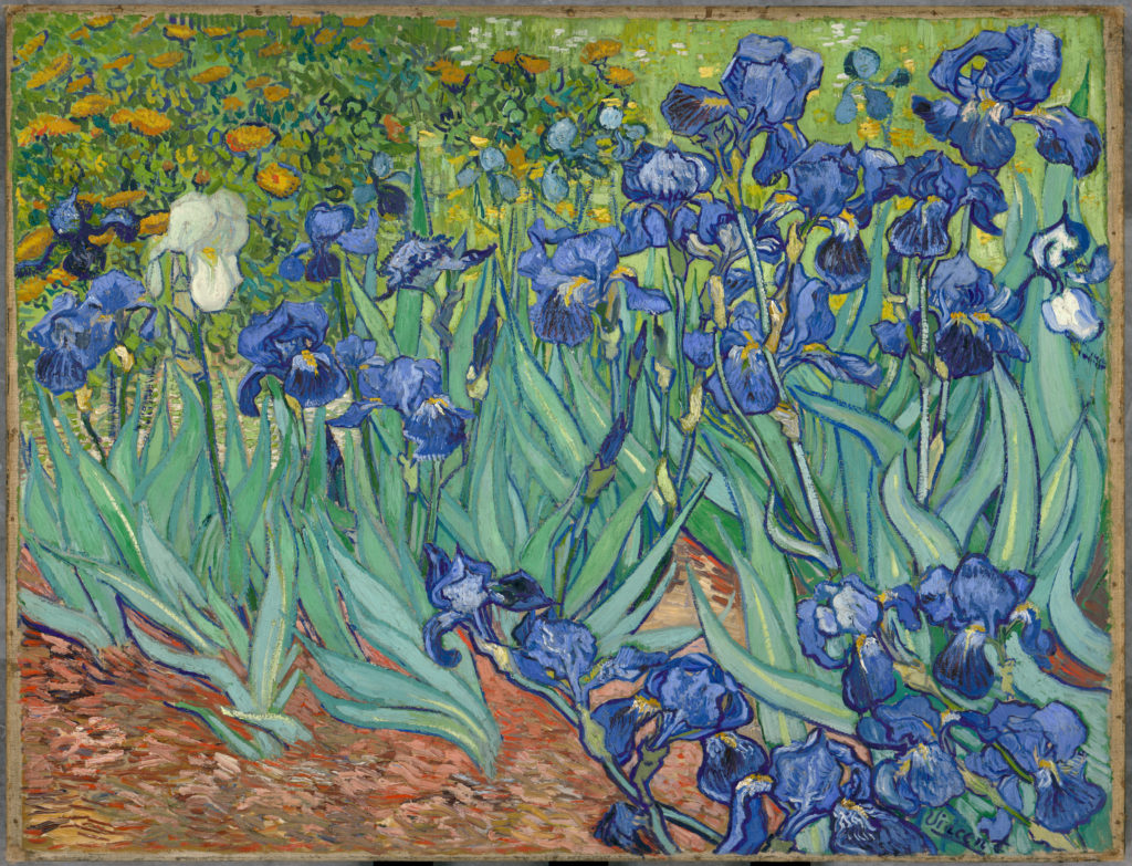 blue flowers; Hope Gangloff