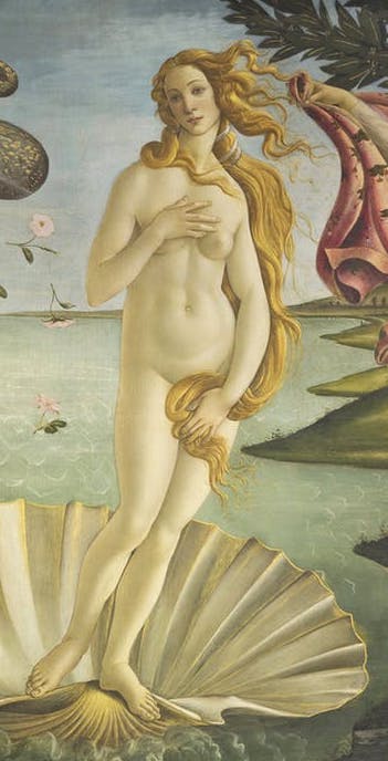 The Birth of Venus: The Birth of Venus