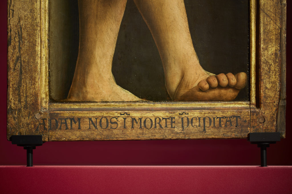 Adam's feet from the Ghent Altarpiece. Photograph by David Levene. 27th - 29th January 2020 van eyck exhibition van eyck an optical revolution