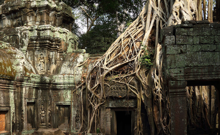 Tomb Raider temple: Ta Prohm temple, Siem Reap, Cambodia. Photograph by Harald Hoyer via Wikimedia Commons (CC BY-SA 2.0).

