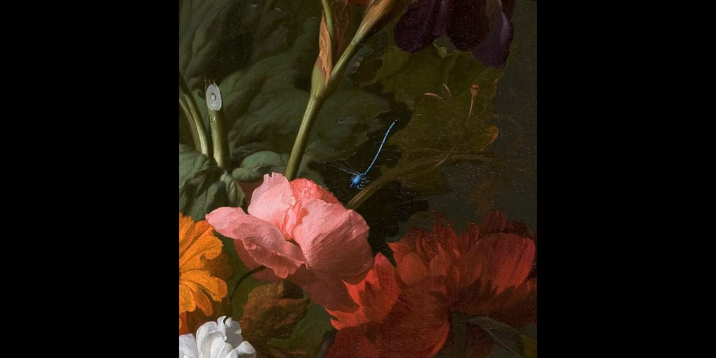 Rachel Ruysch, Vase with Flowers, 1700, Mauritshuis, Den Haag. Enlarged Detail of Dragonfly.
