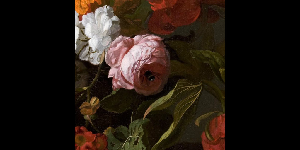 Vase with Flowers, 1700, Mauritshuis, Den Haag. Enlarged Detail of Pink Rose and Bee.