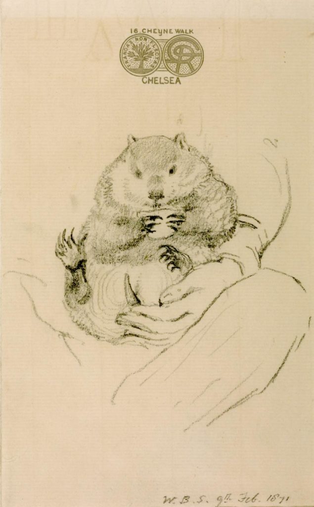 William Bell Scott, Rosetti’s Wombat Seated on His Master’s Lap, 1871, Tate