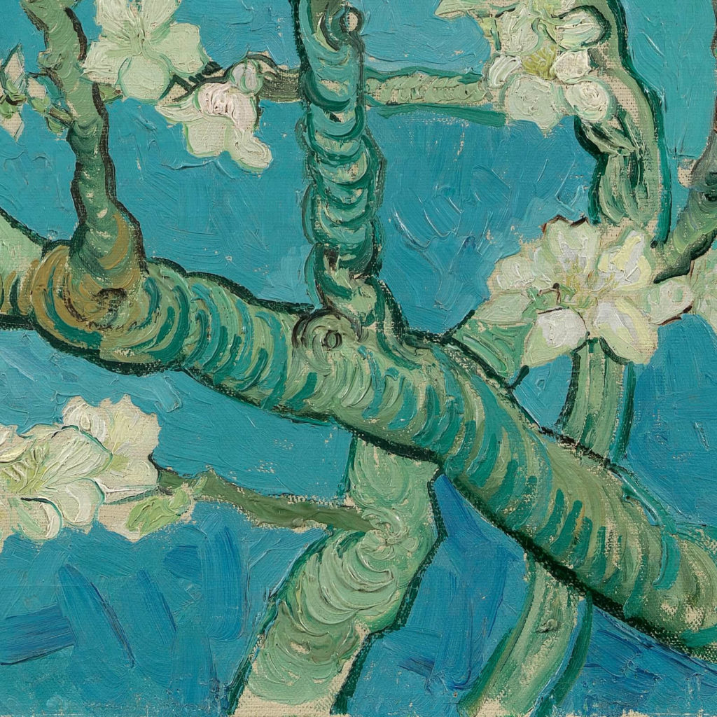 Vincent van Gogh, Almond Blossom, 1890, Van Gogh Museum, Amsterdam. Enlarged Detail of Branch Shadows.