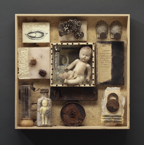 Wendy Aikin, Cabinet of Curiosities: Box #8, 2010.; Cabinets of Curiosities; wunderkammer