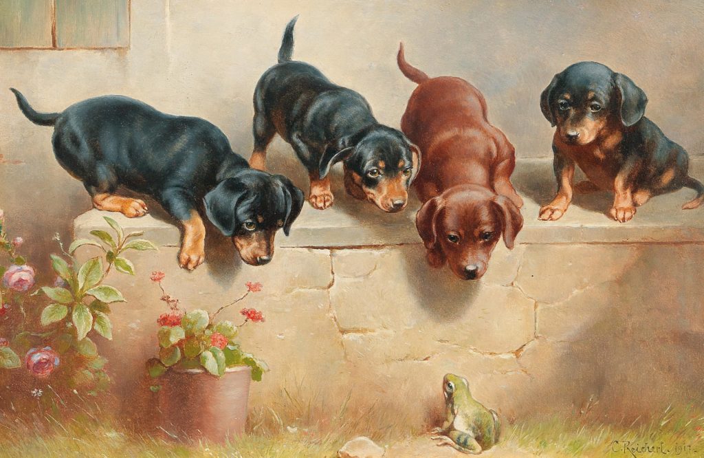 Carl Reichert, Curious dachshund puppies and a frog, 