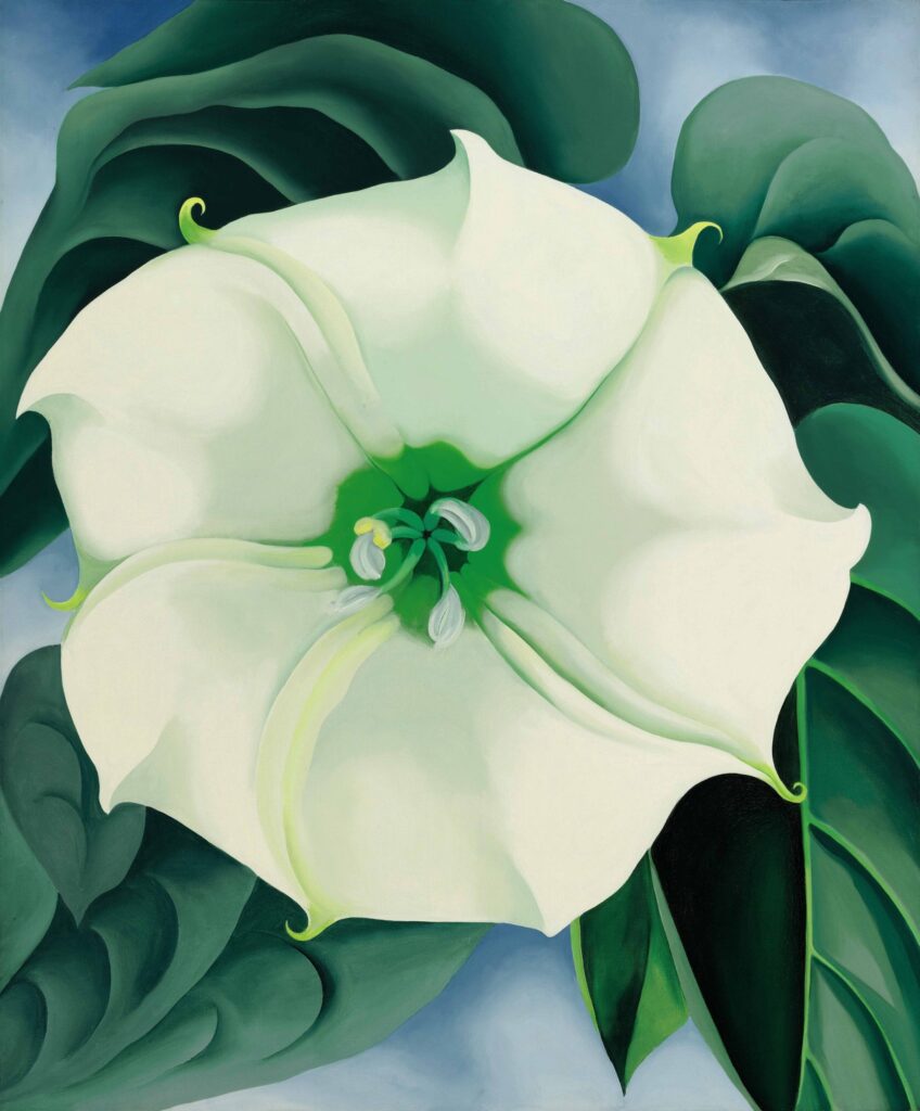 feminist artists Georgia O'Keefee, Jimson Weed, 1936, Indianapolis Museum of Art in Indianapolis, Indianapolis, IN, USA.
