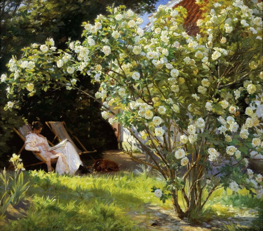 summer meal art; the painting of a woman reading in the summer garden with white roses in the foreground
Peder Severin Kroyer, Roses