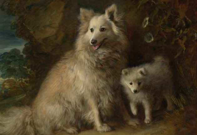gainsborough dogs: Thomas Gainsborough, Pomeranian Bitch and a Puppy, ca. 1777, Tate, London, UK. Detail.
