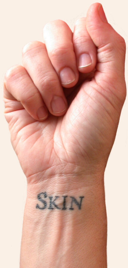 Tattoos history, art & culture: Shelley Jackson, Skin project.