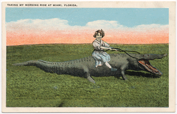 art history gifs: Taking my morning ride at Miami Florida