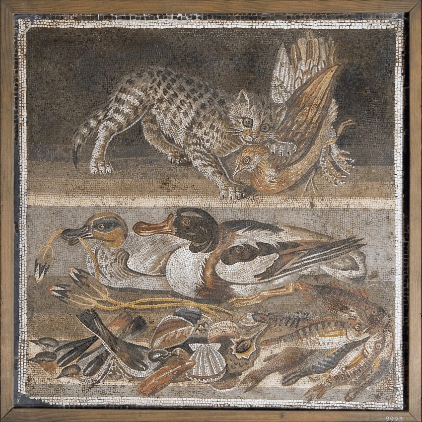 Roman floor mosaics: Cat Fighting Against a Cock, Ducks, Fish and Shells,