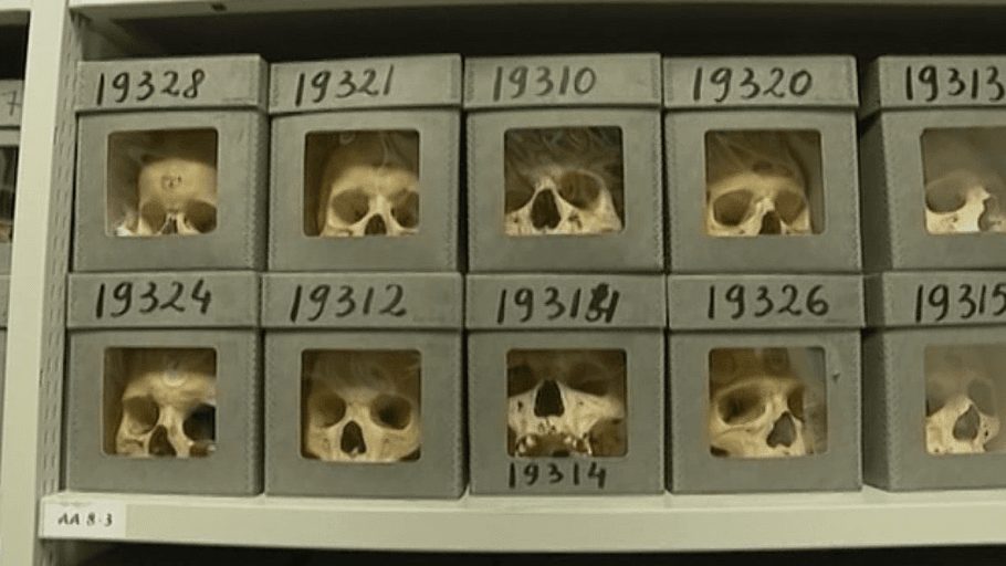Return of Algerian Skulls: 18,000 Skulls are conserved for scientific study at the Musee de l’Homme, Paris, France. 