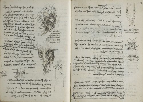 New Year's resolutions: Leonardo da Vinci, Paris Manuscript F