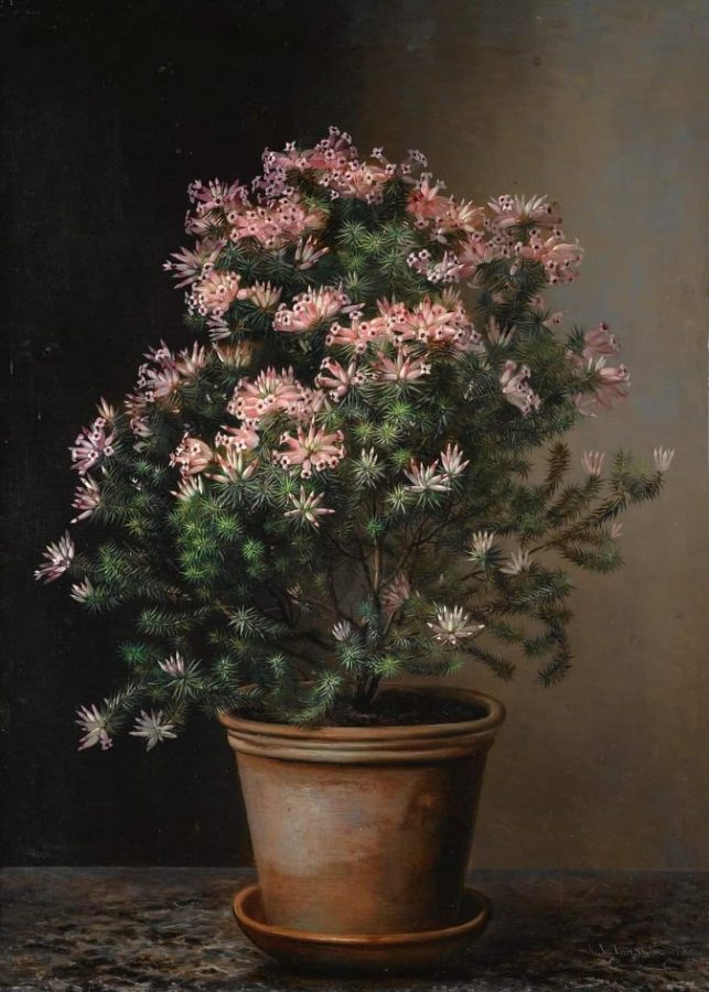 artistic flower arrangements: Johan Laurentz Jensen, Still Life Of Flowers In A Terracotta Pot, 1843, 