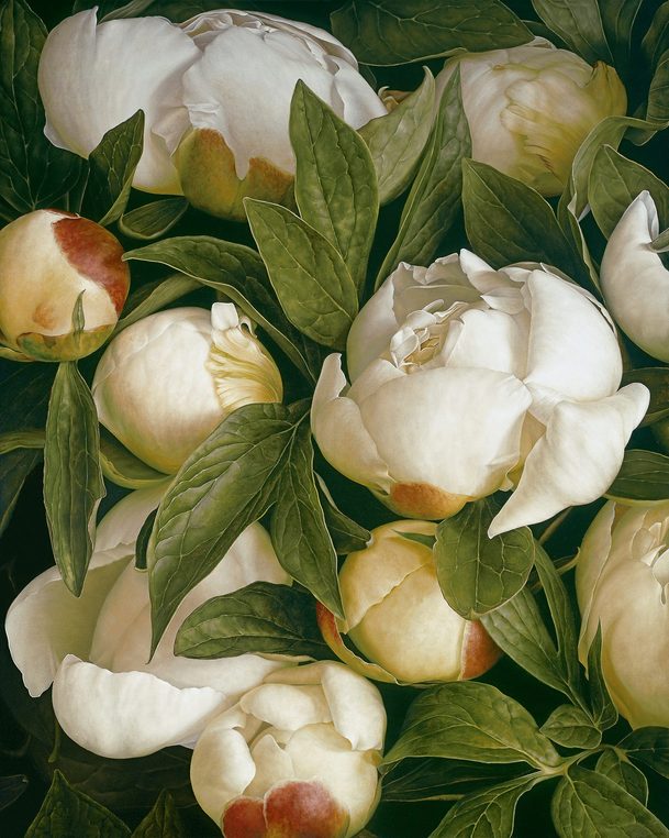 artistic flower arrangements: Mia Tarney, Duchess Peony, 2007.