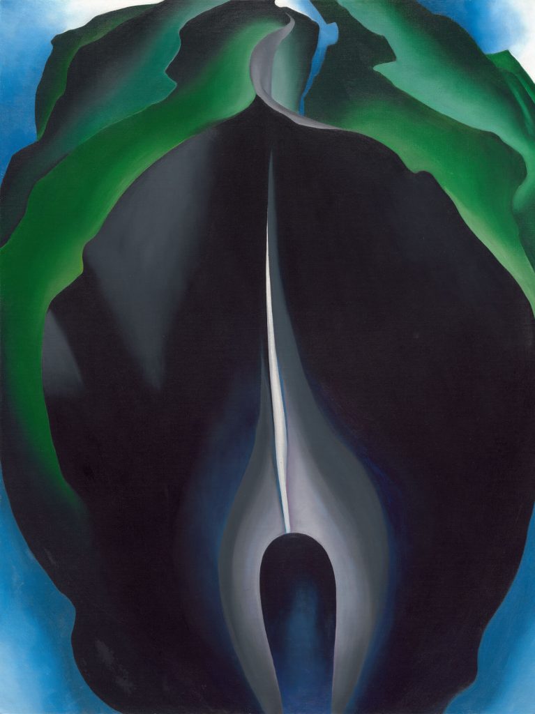 Georgia O'Keeffe, Jack-in-the-Pulpit No. IV, 1930, National Gallery of Art, Washington DC, USA.