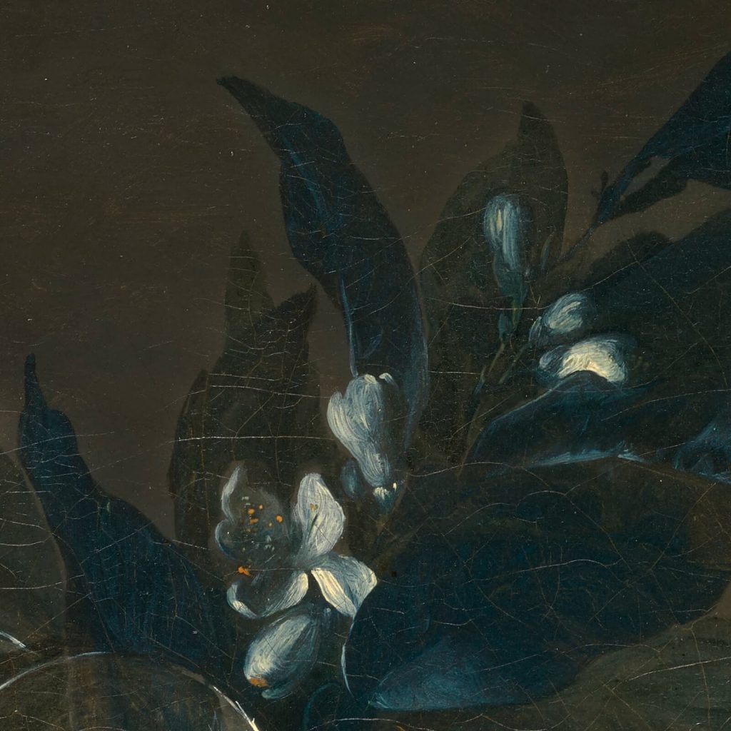 Anne Vallayer-Coster, Still Life with Mackerel, 1787, Kimbell Art Museum, Fort Worth, TX, USA. Detail.