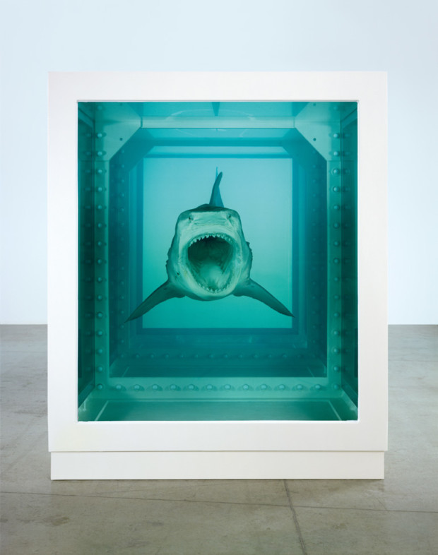 Damien Hirst, The Physical Impossibility of Death in the Mind of Someone Living, 1991.