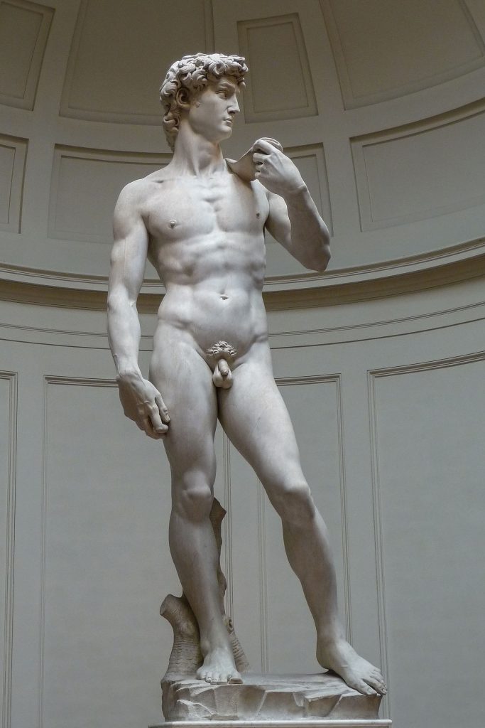 Male Body Renaissance, Michelangelo Buonarroti, David, 1501-1504, Galleria dell'Academia, Florence, Italy.