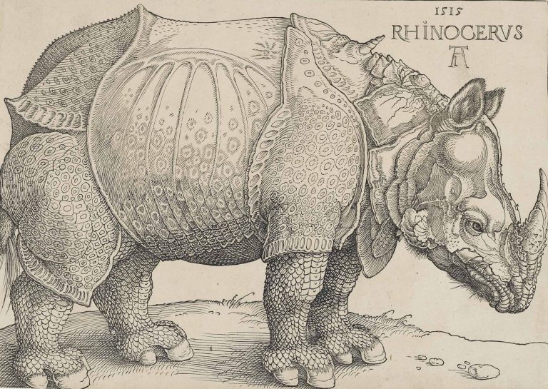 Dürer Animals: Albrecht Dürer, Rhinoceros, 1515, National Gallery of Art, Washington, DC, USA. Detail.
