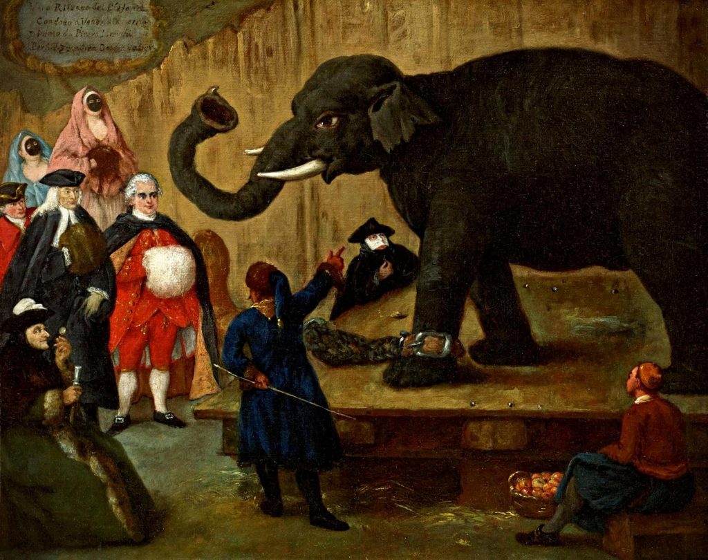 Pietro Longhi, The Display of the Elephant Venice, 18th century, Museum of Fine Arts, Houston, TX, USA.