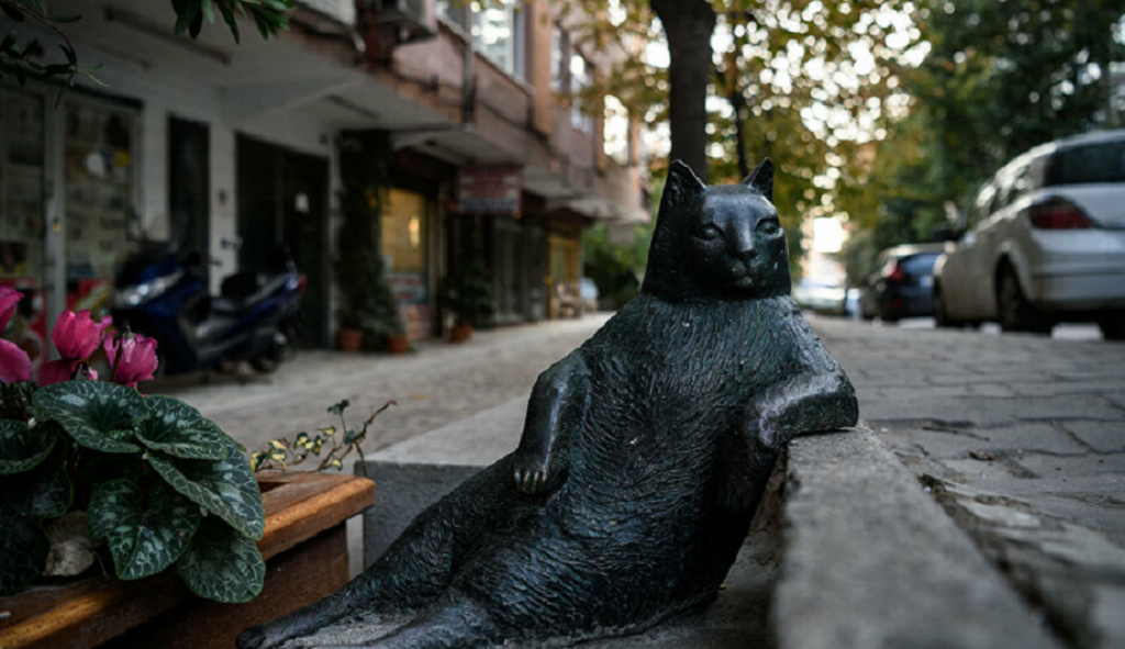 cat museums The sculpture of Tombili by Seval Şahi, Istanbul, Turkey. 
