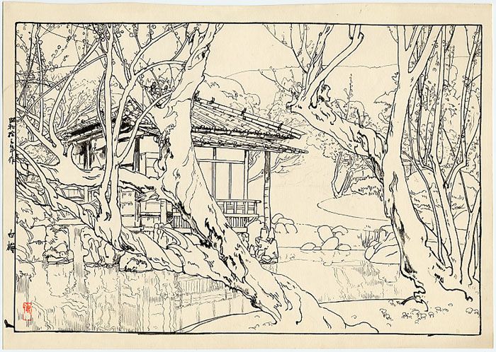 Japanese woodblock prints Hiroshi Yoshida, Shiraume (White Plum), drawing, private collection